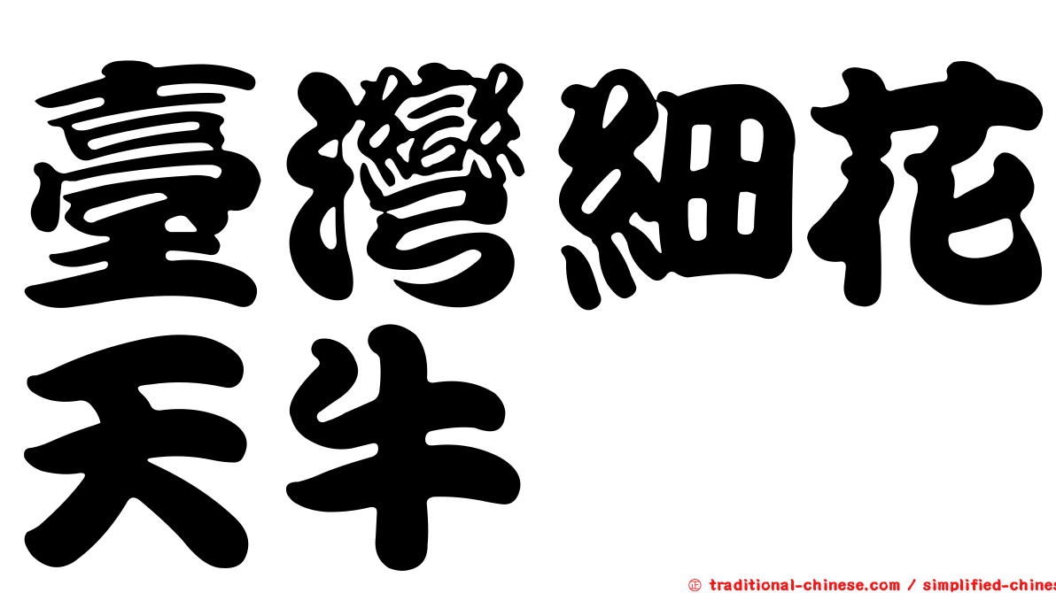 臺灣細花天牛