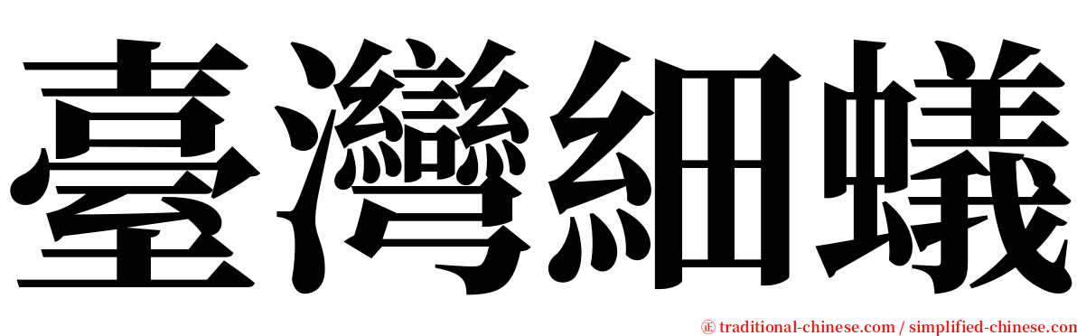 臺灣細蟻 serif font