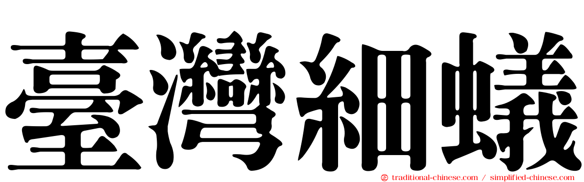 臺灣細蟻