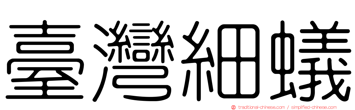 臺灣細蟻