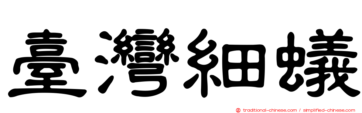 臺灣細蟻