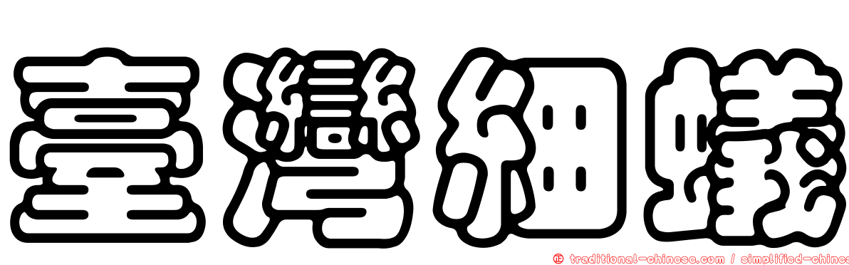 臺灣細蟻