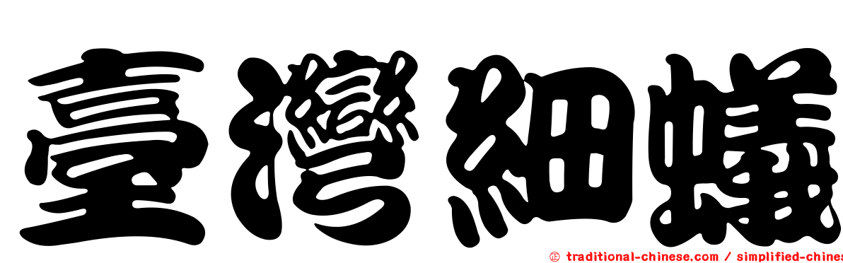 臺灣細蟻