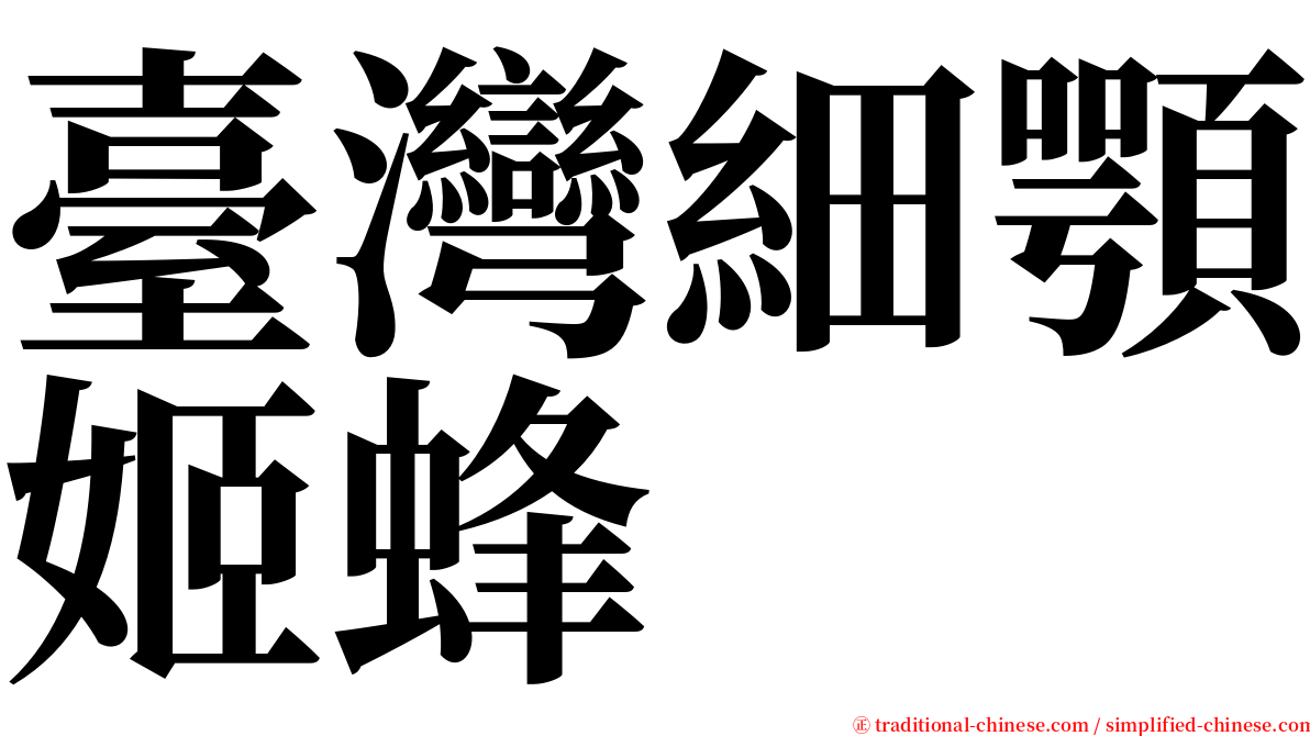 臺灣細顎姬蜂 serif font
