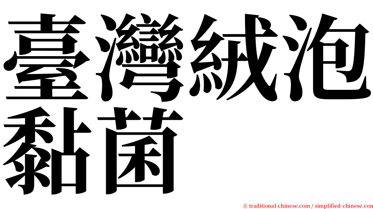 臺灣絨泡黏菌 serif font