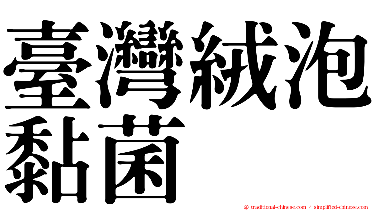 臺灣絨泡黏菌