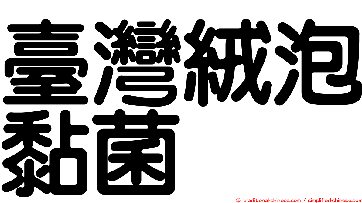 臺灣絨泡黏菌