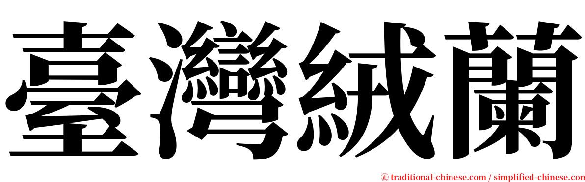 臺灣絨蘭 serif font