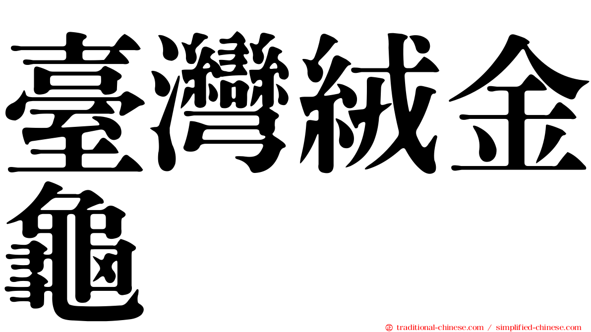 臺灣絨金龜