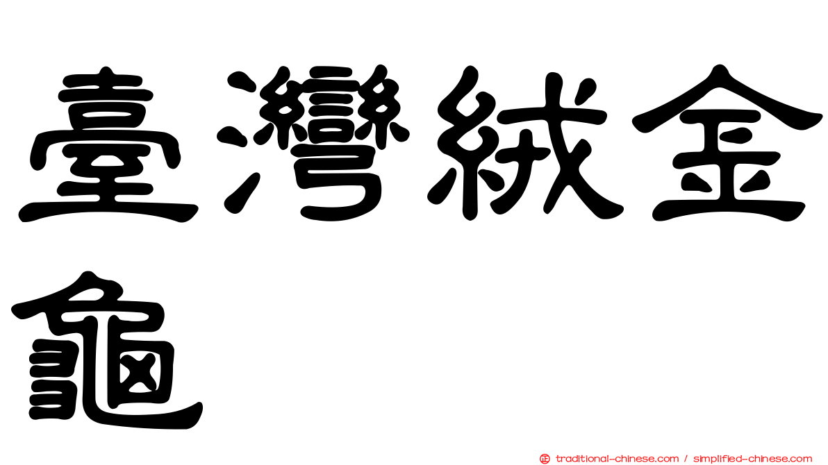 臺灣絨金龜