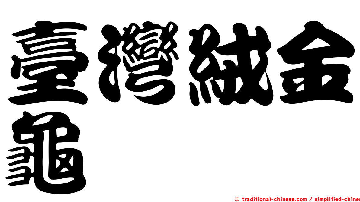 臺灣絨金龜