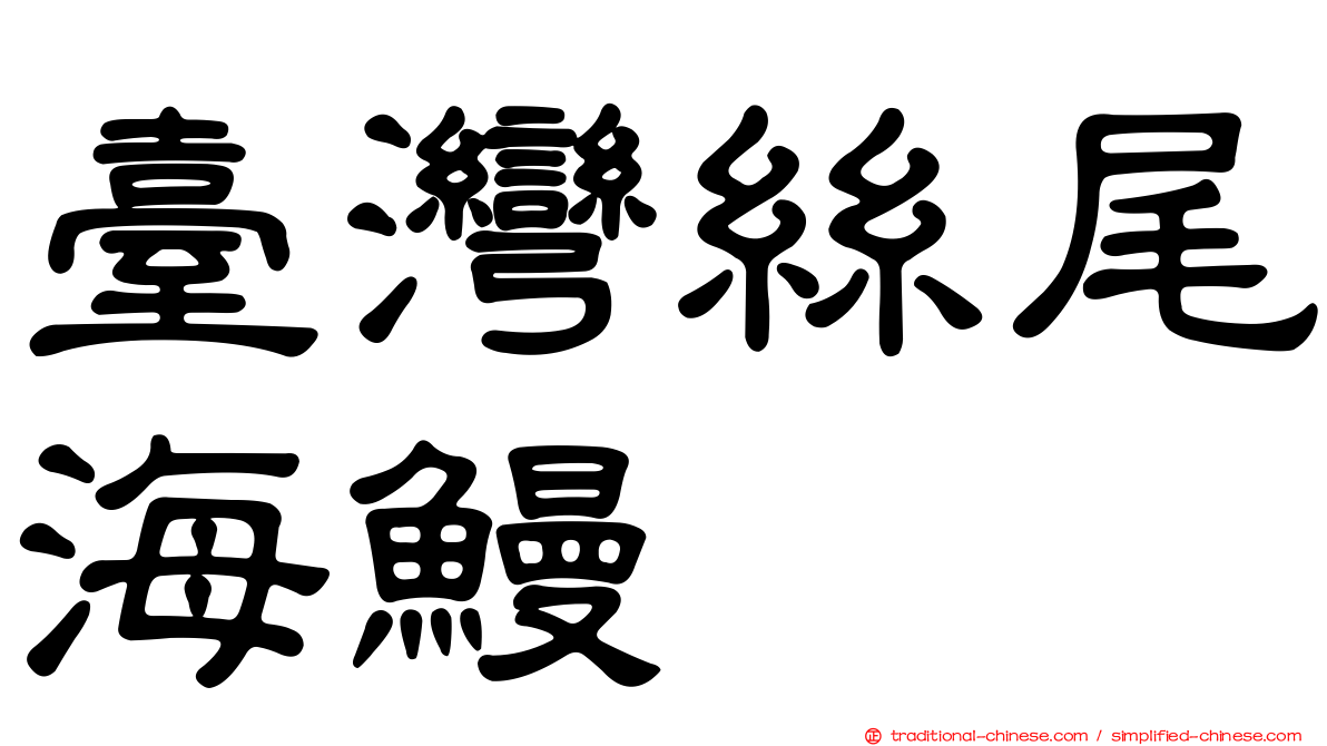 臺灣絲尾海鰻