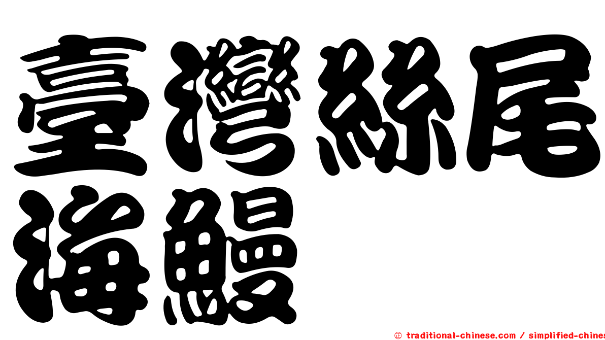 臺灣絲尾海鰻