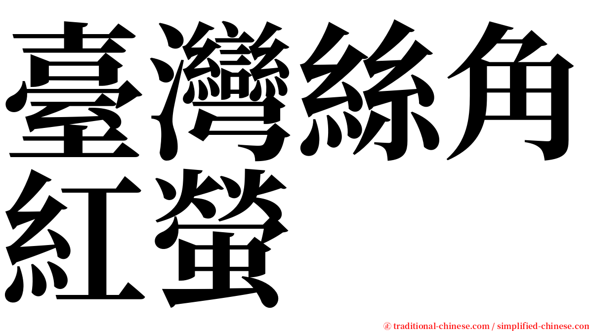 臺灣絲角紅螢 serif font