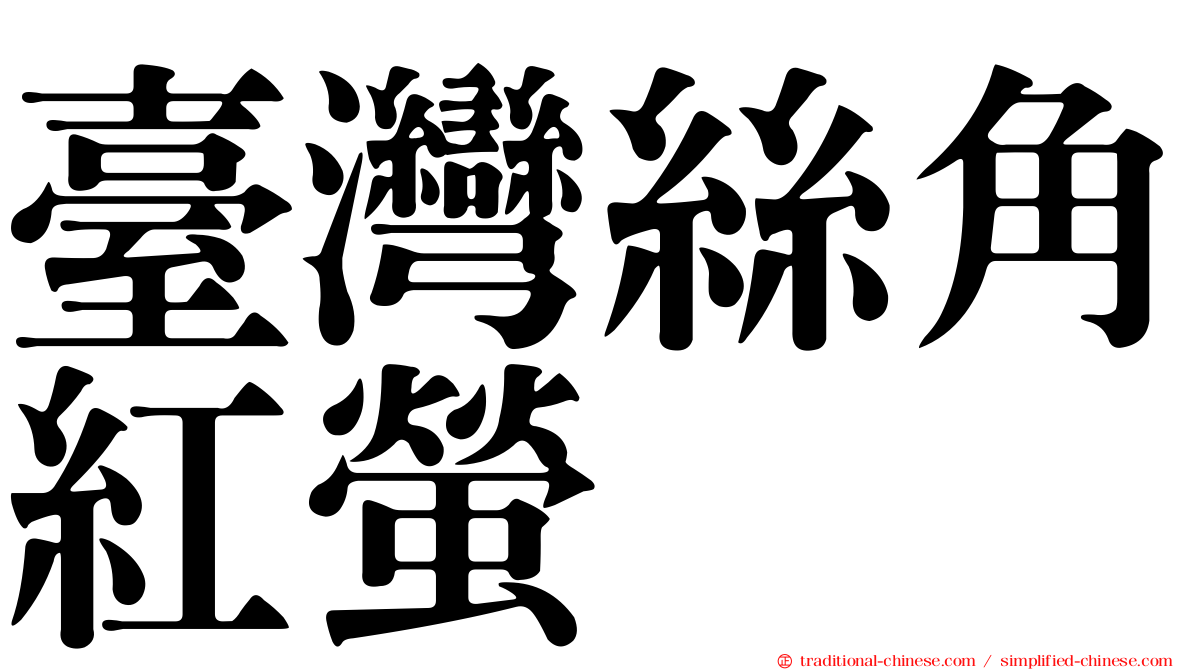 臺灣絲角紅螢