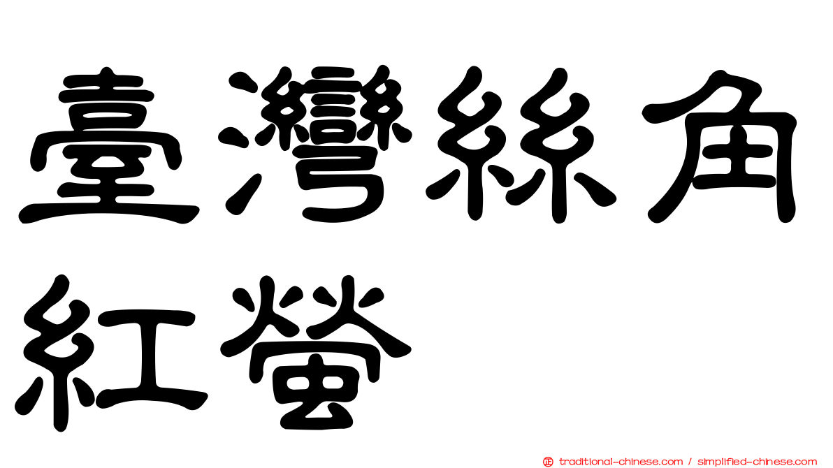 臺灣絲角紅螢