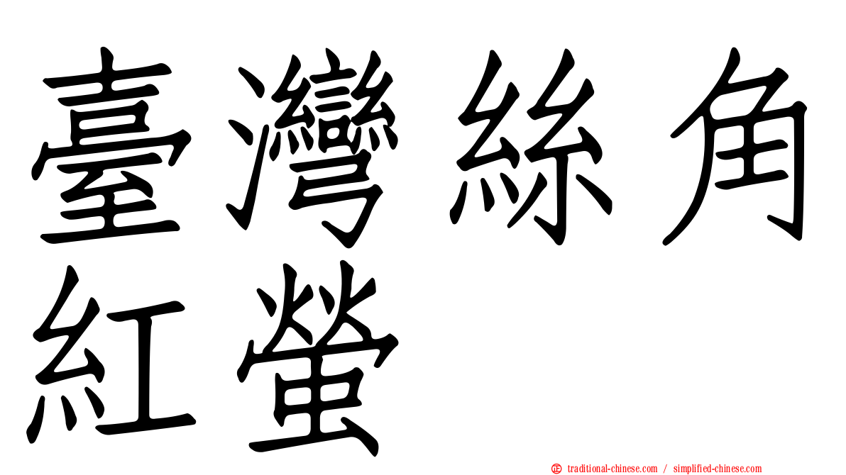 臺灣絲角紅螢