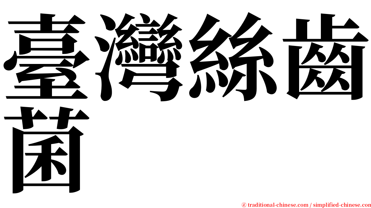 臺灣絲齒菌 serif font