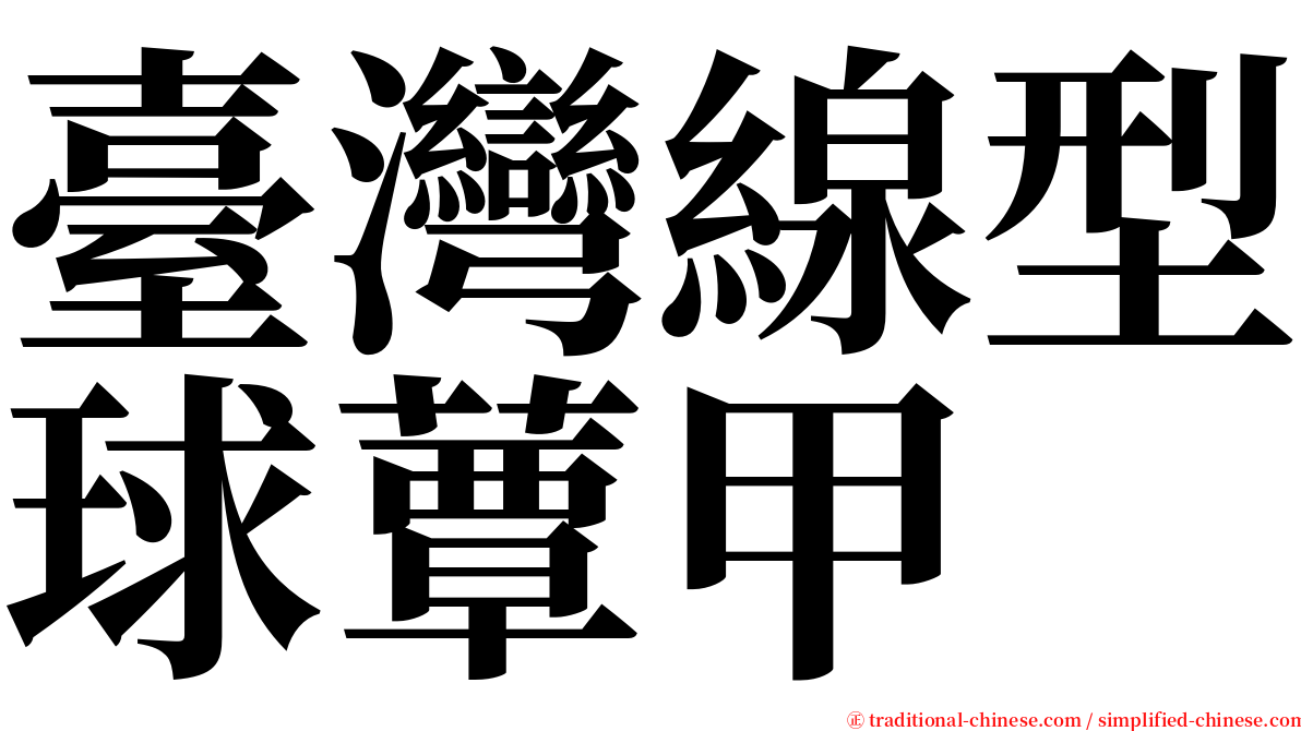 臺灣線型球蕈甲 serif font