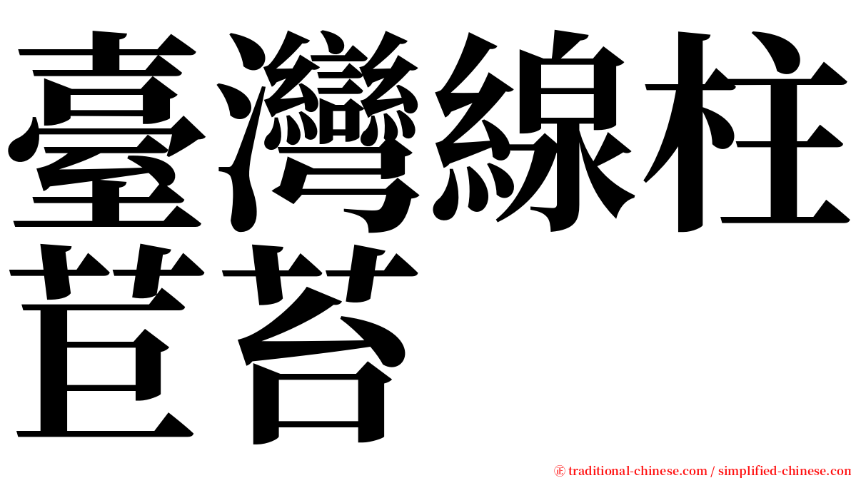 臺灣線柱苣苔 serif font