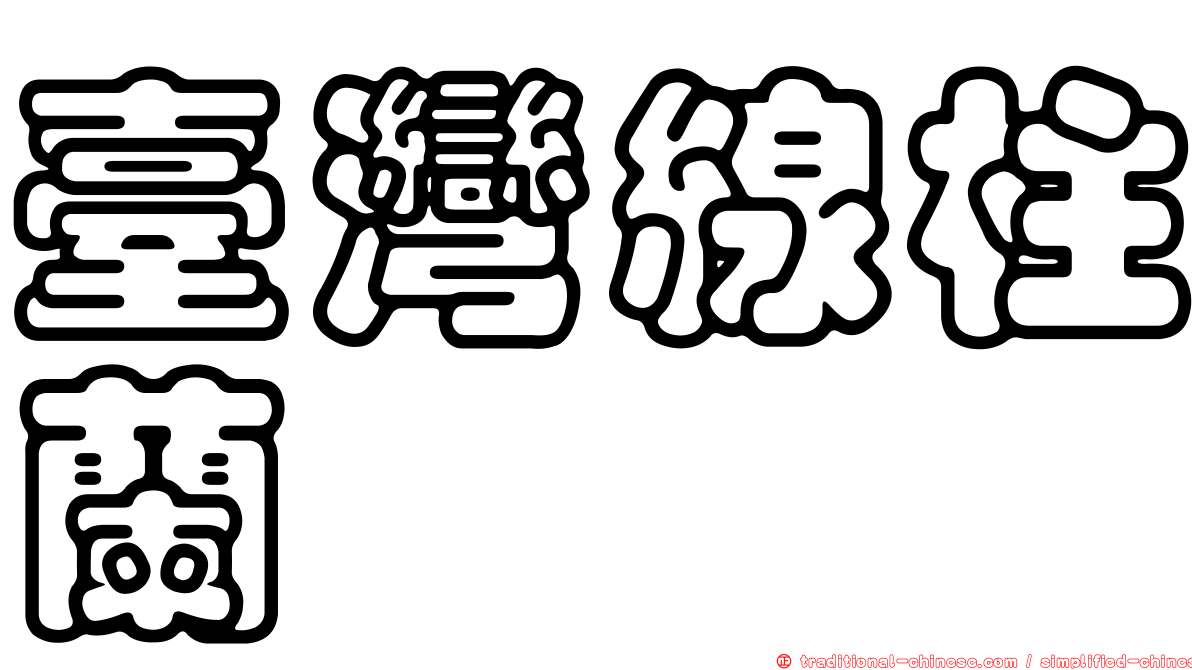 臺灣線柱蘭