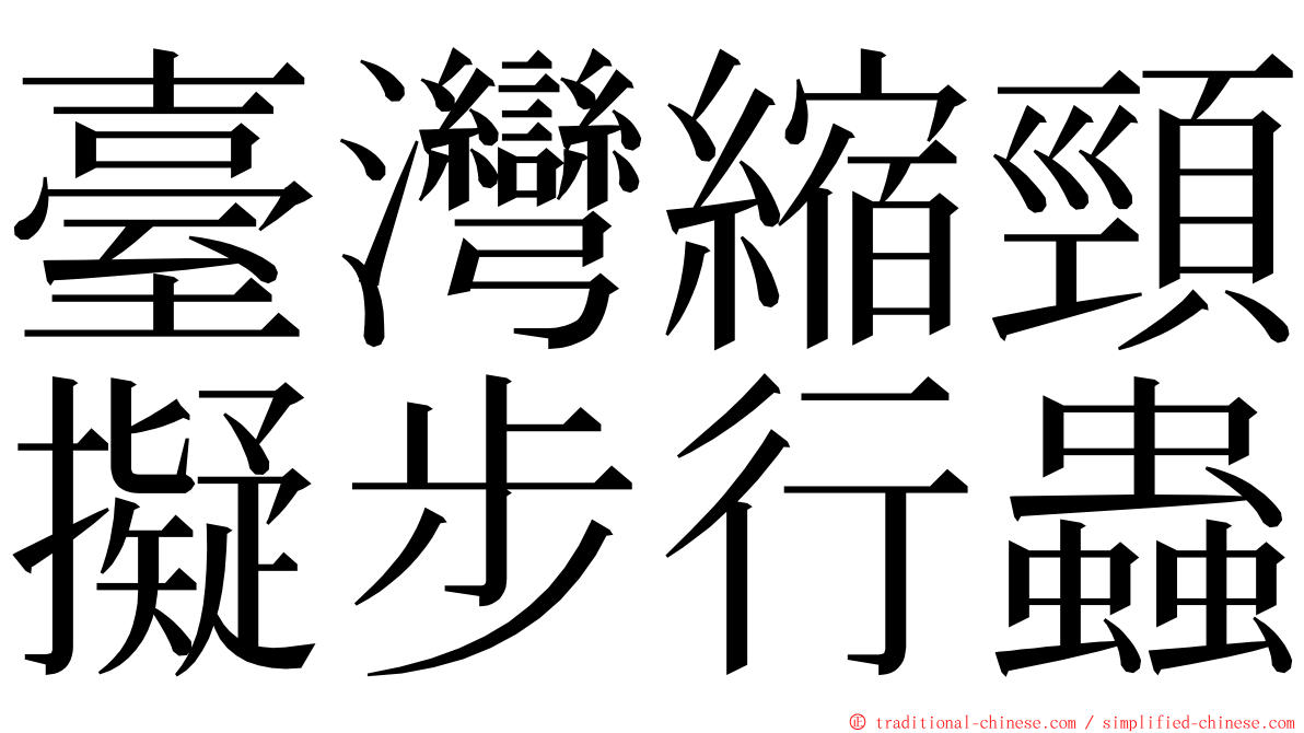 臺灣縮頸擬步行蟲 ming font