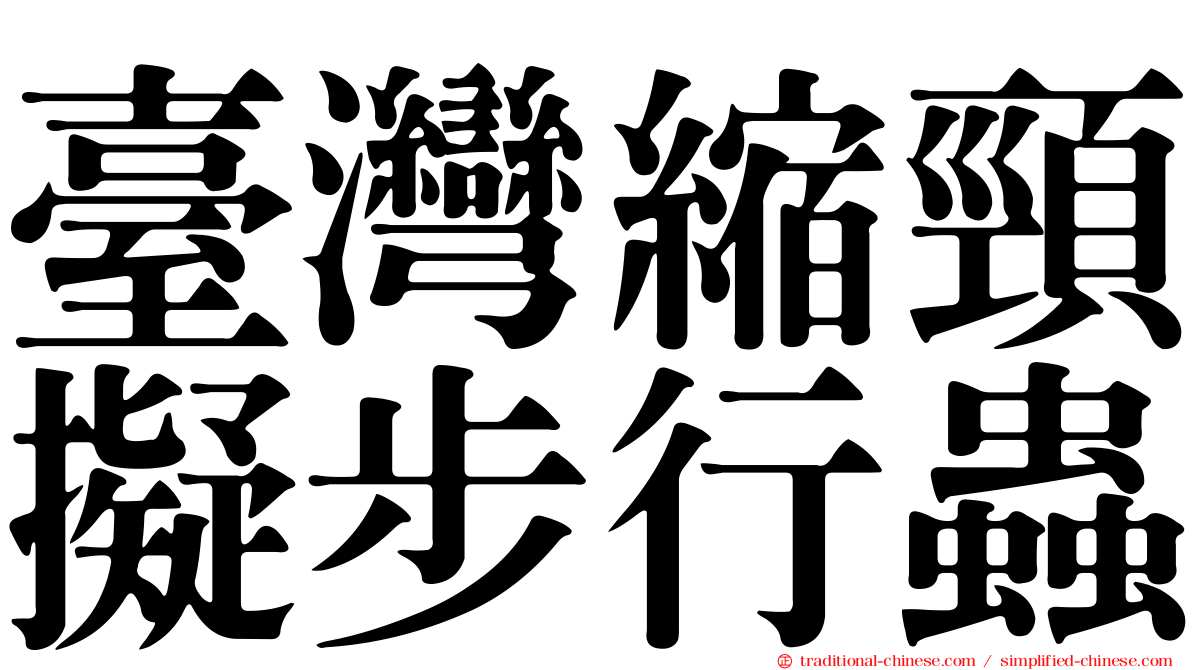 臺灣縮頸擬步行蟲