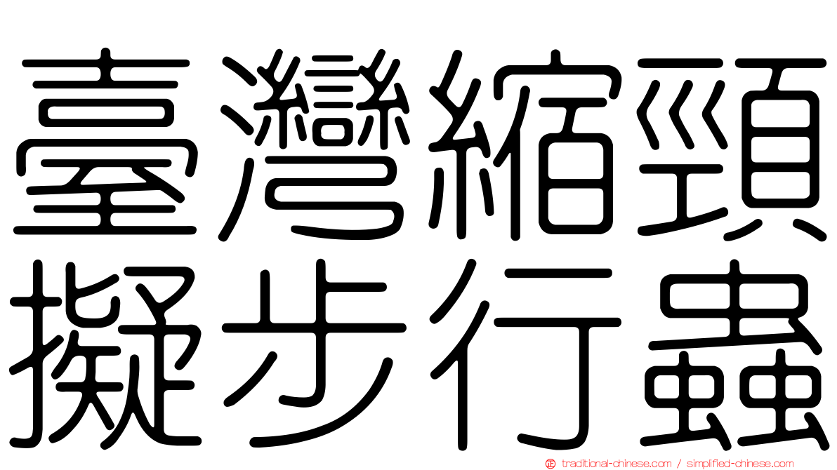 臺灣縮頸擬步行蟲