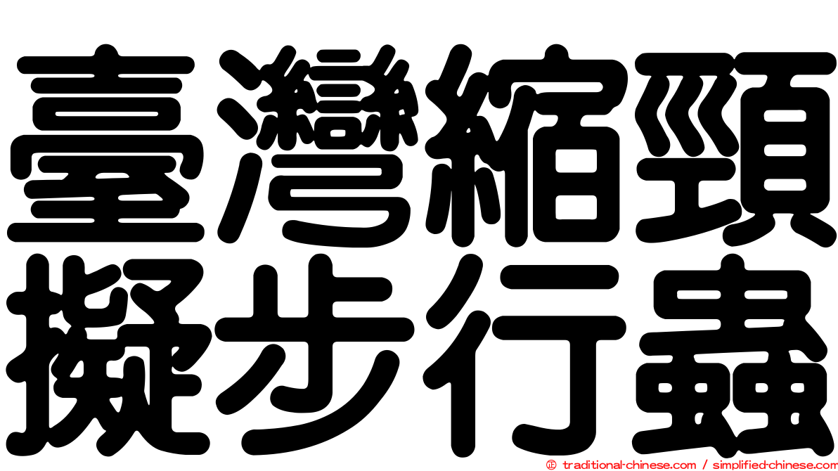 臺灣縮頸擬步行蟲