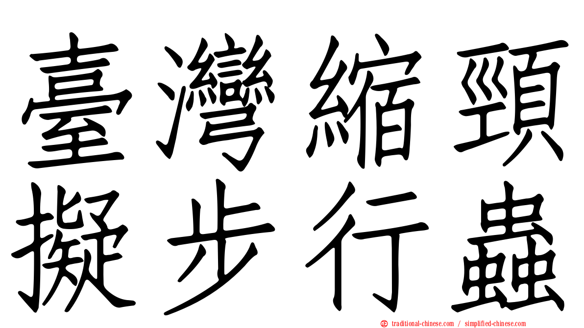 臺灣縮頸擬步行蟲