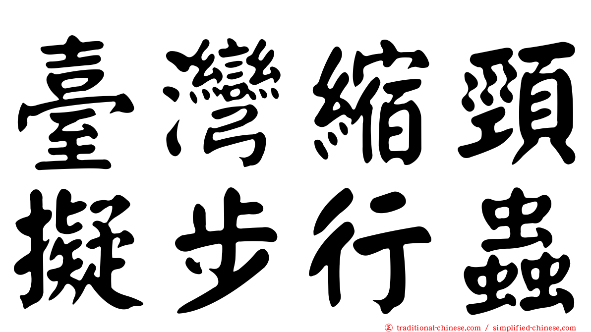 臺灣縮頸擬步行蟲