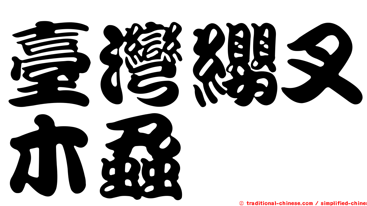臺灣纓叉木蝨