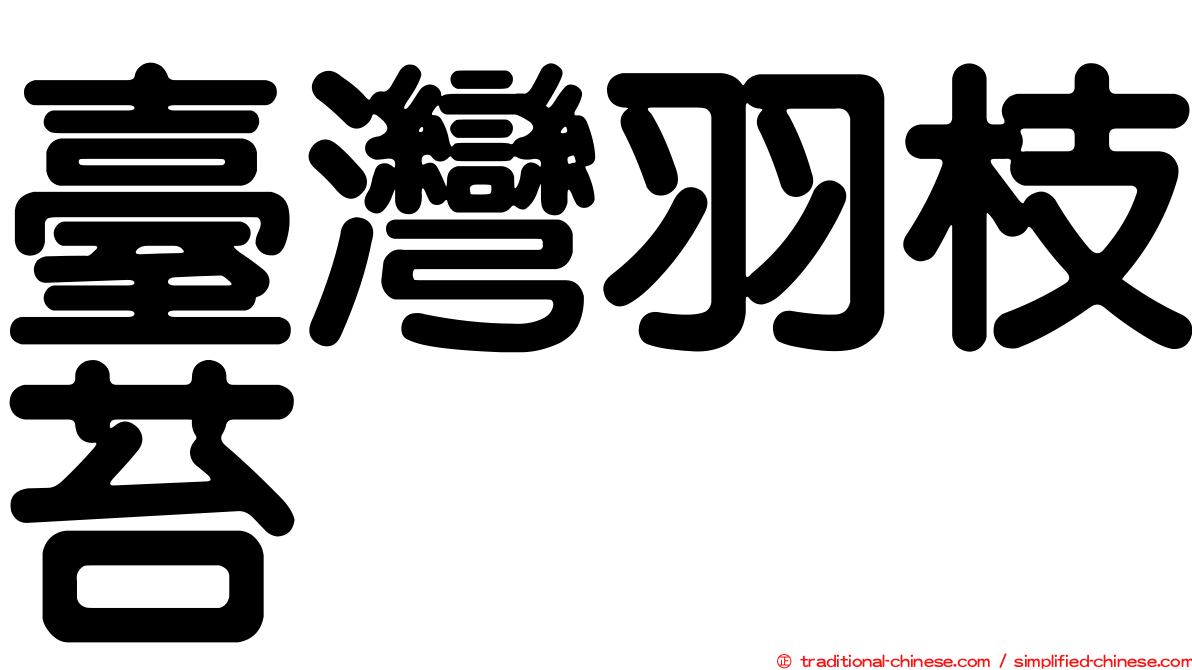 臺灣羽枝苔