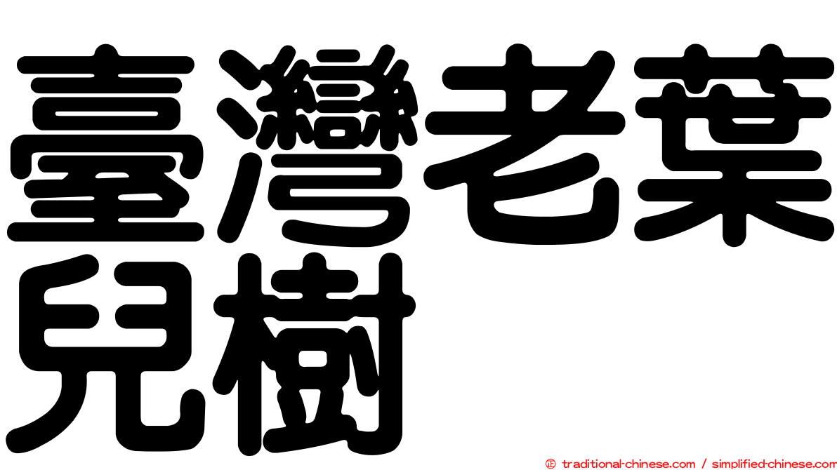 臺灣老葉兒樹