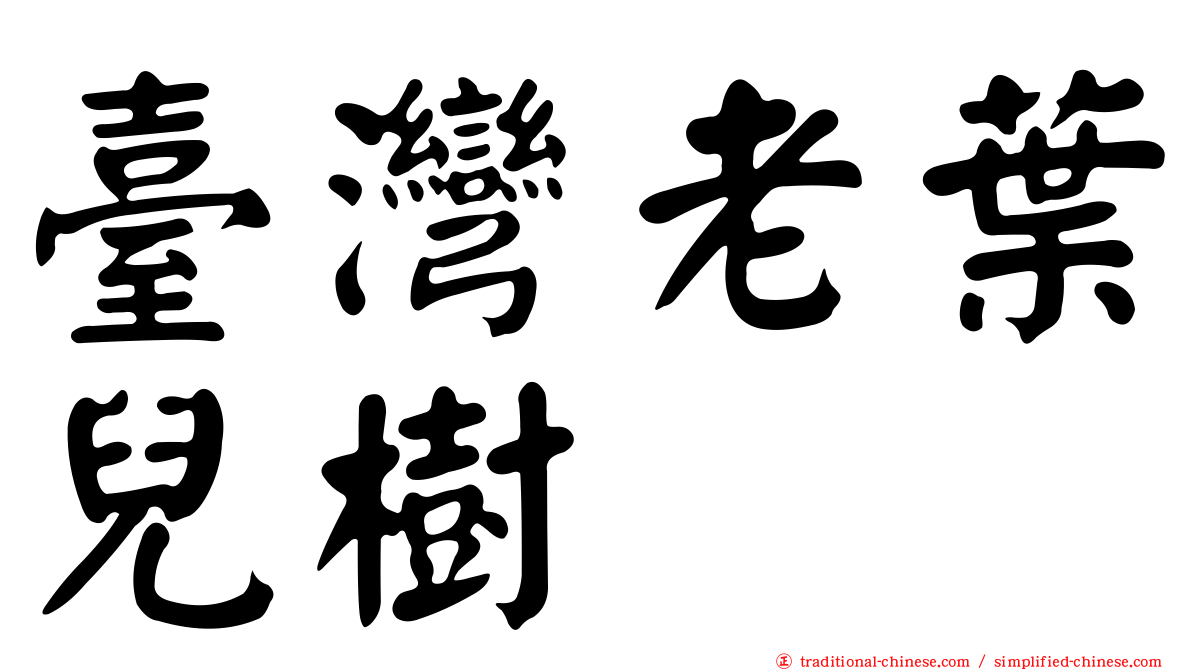 臺灣老葉兒樹