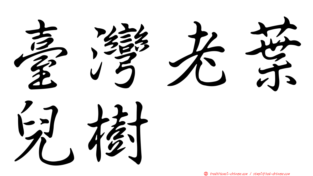 臺灣老葉兒樹