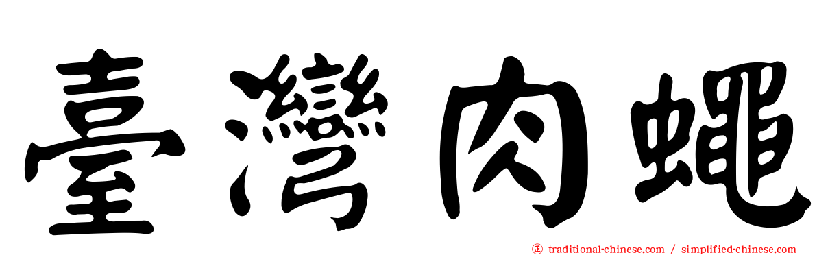 臺灣肉蠅