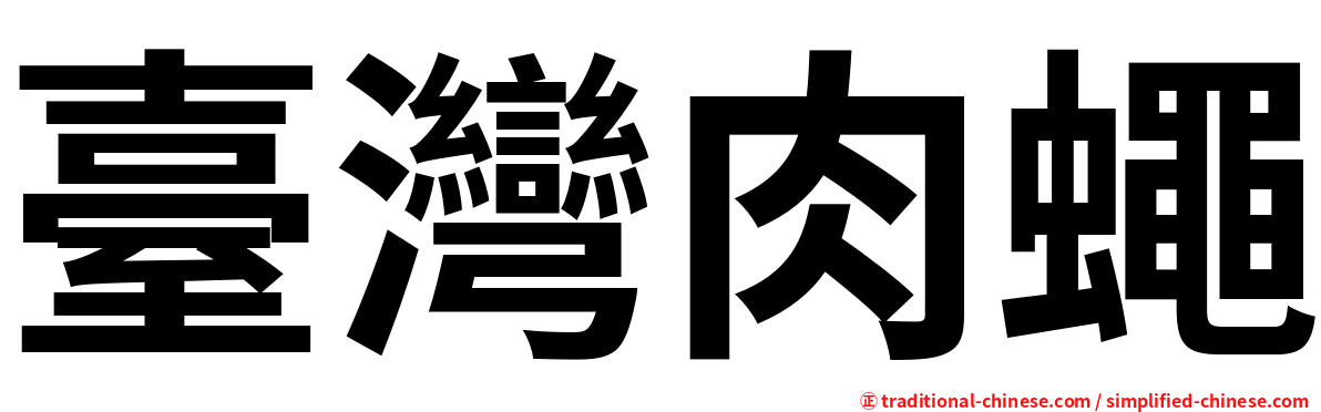 臺灣肉蠅