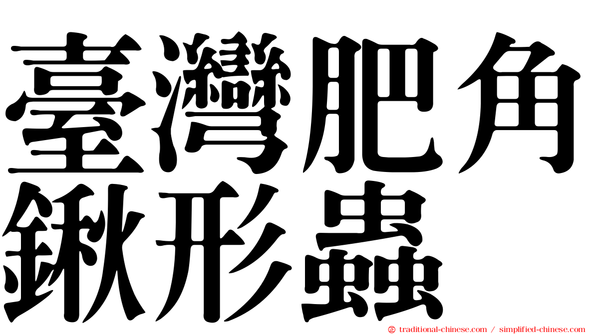 臺灣肥角鍬形蟲