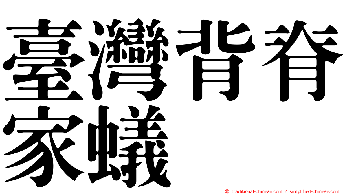 臺灣背脊家蟻