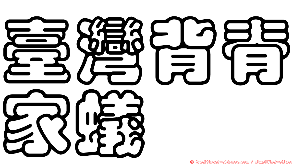 臺灣背脊家蟻