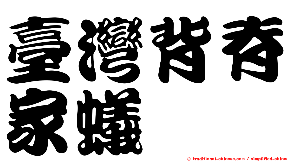 臺灣背脊家蟻