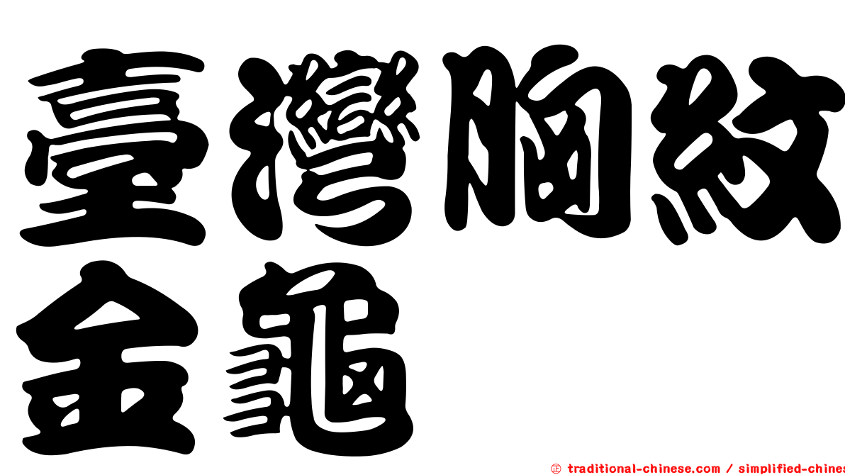 臺灣胸紋金龜