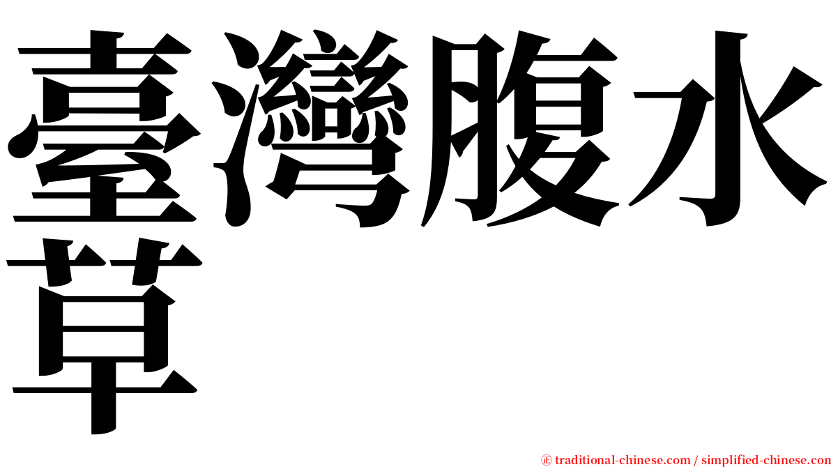 臺灣腹水草 serif font