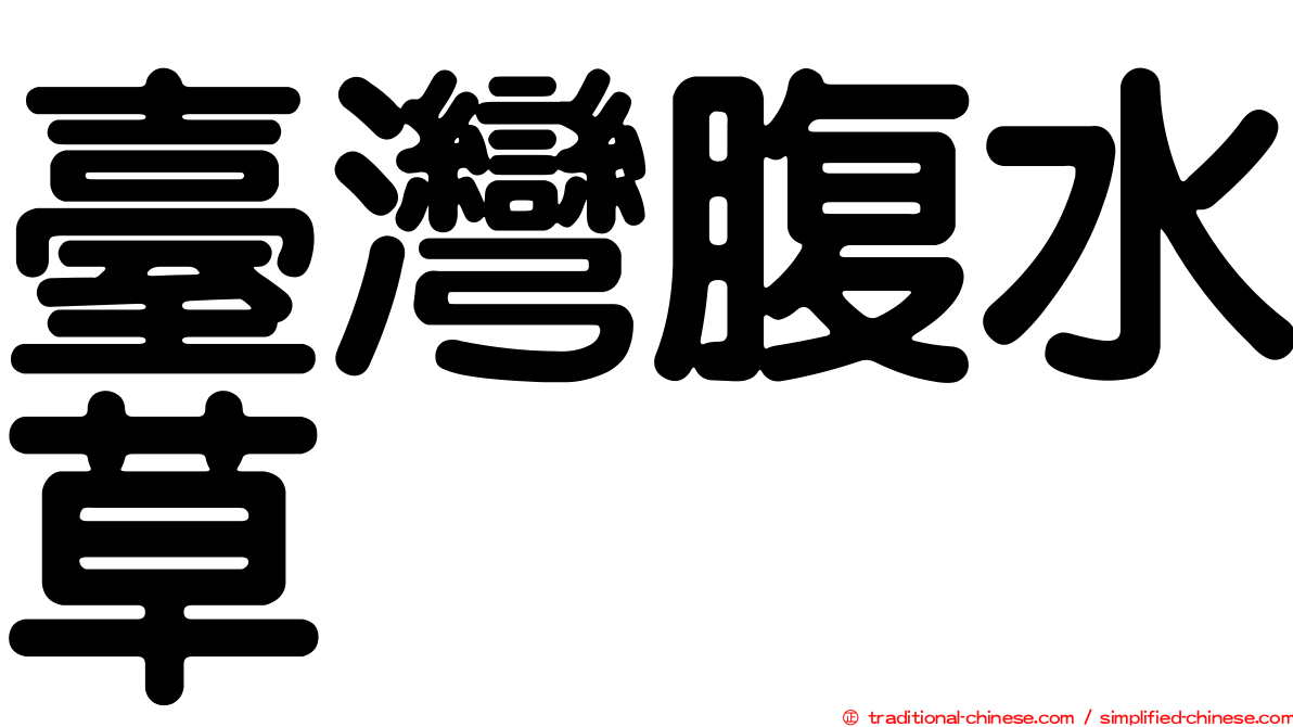 臺灣腹水草