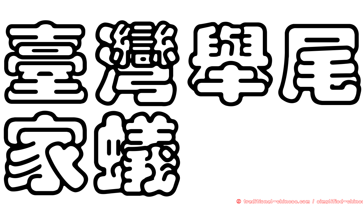 臺灣舉尾家蟻
