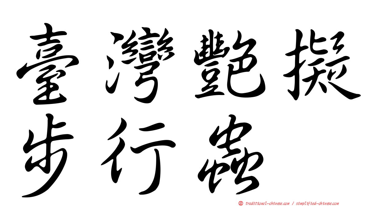 臺灣艷擬步行蟲