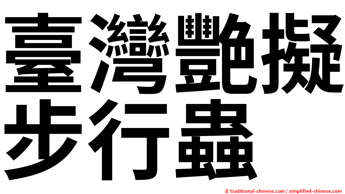 臺灣艷擬步行蟲