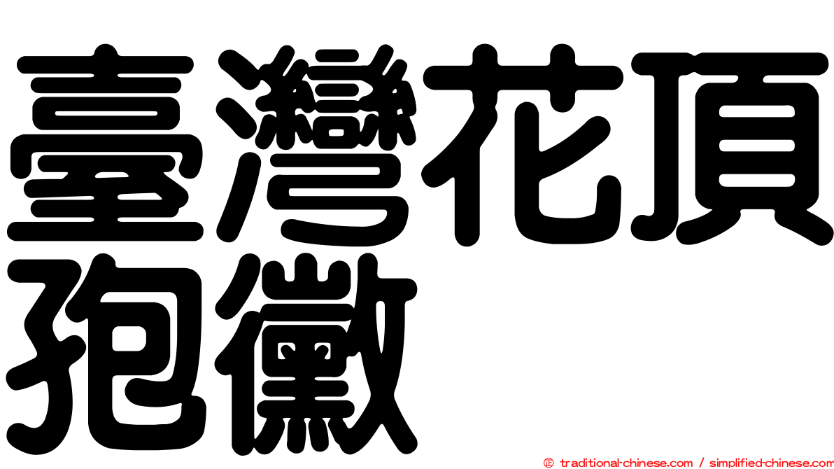 臺灣花頂孢黴