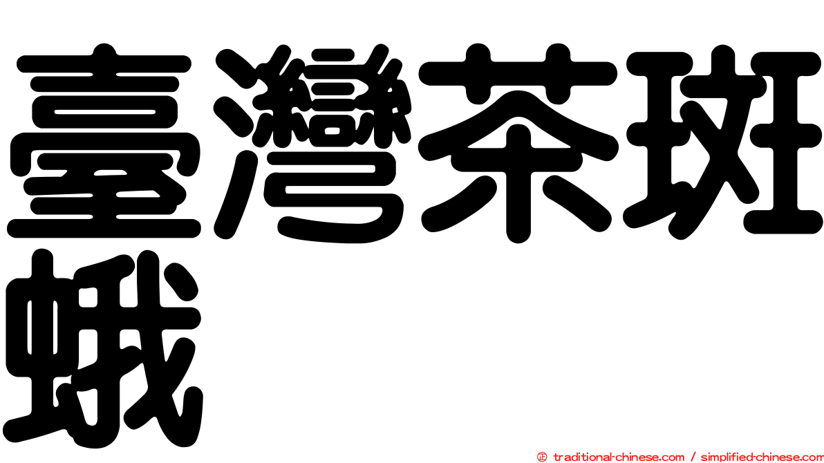 臺灣茶斑蛾